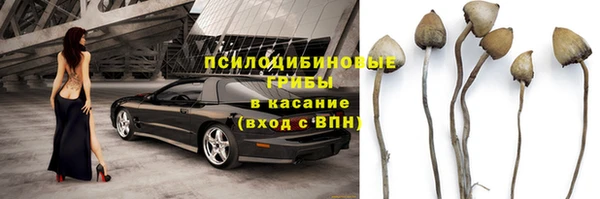 а пвп мука Аркадак