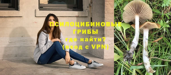 бошки Арсеньев
