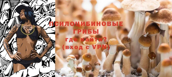 а пвп мука Аркадак